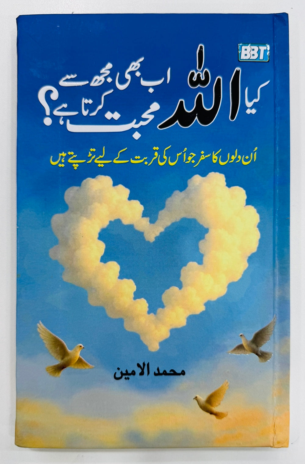 Kia Allah Ab Bhi Mujh Say Muhabat Karta Hay
