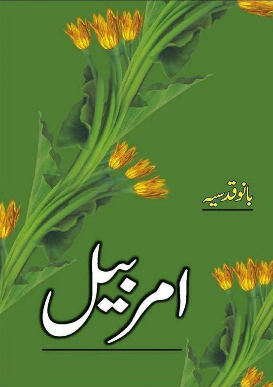 Amar Bail Bano Qudsia امربیل – Books Paradise - Main Image