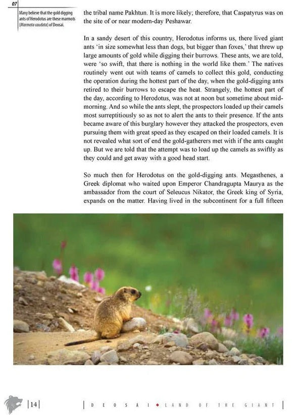 Deosai: Land Of The Giant