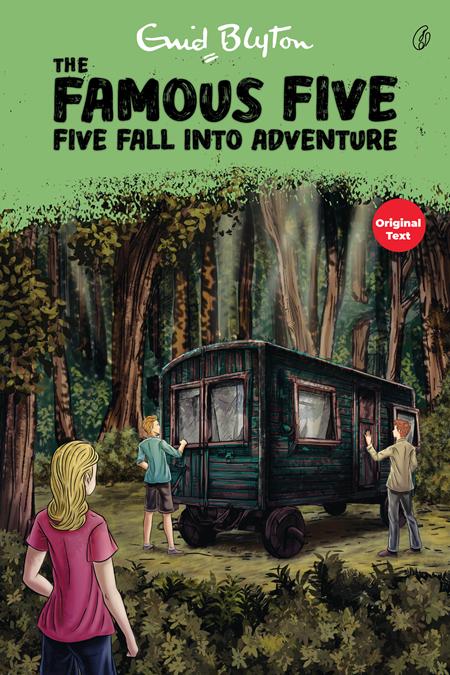 Five Fall Into Adventure - The Famous Five (Book 9)