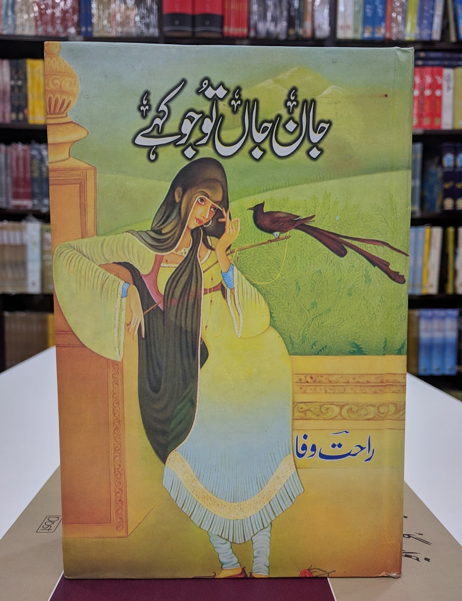 Jan e Jan To Jo Kahy