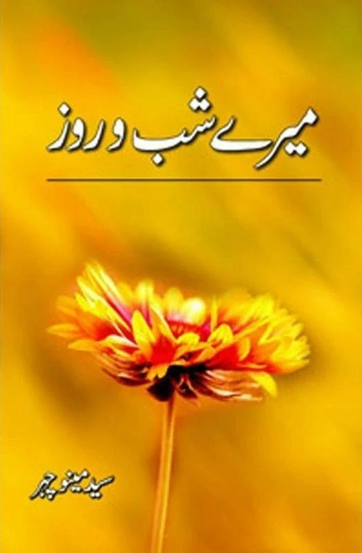 Mery Shab o Rooz - میرے شب و روز