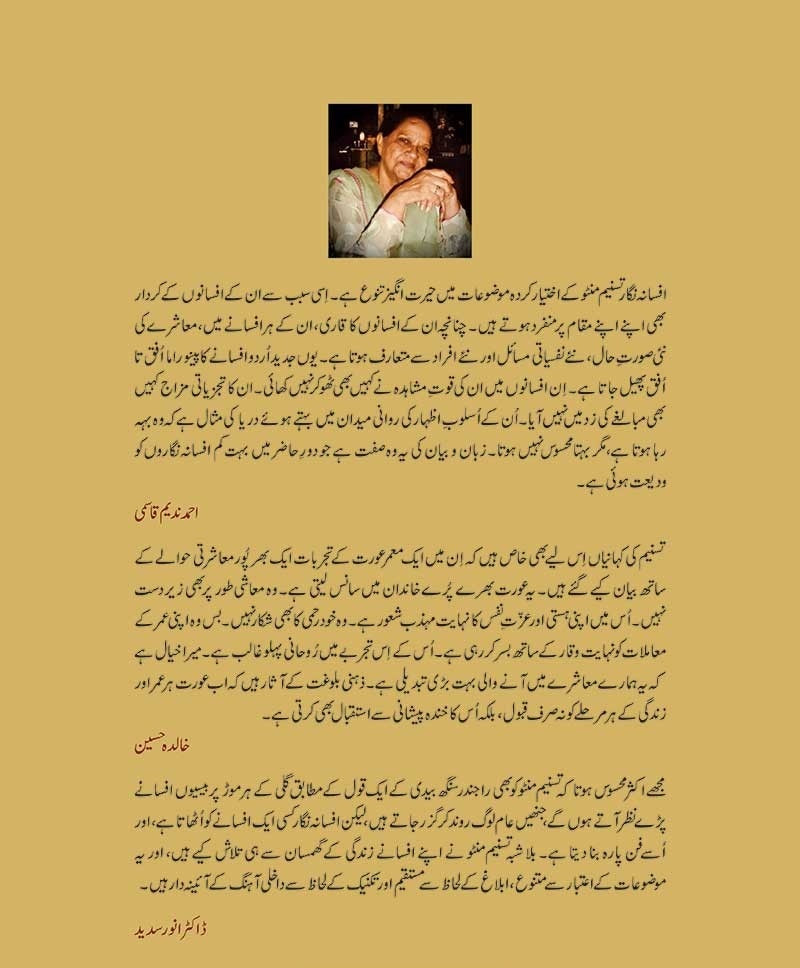 Nai Kahania Aur Zara Si Baat - نئی کہانیاں اور ذرا سی بات