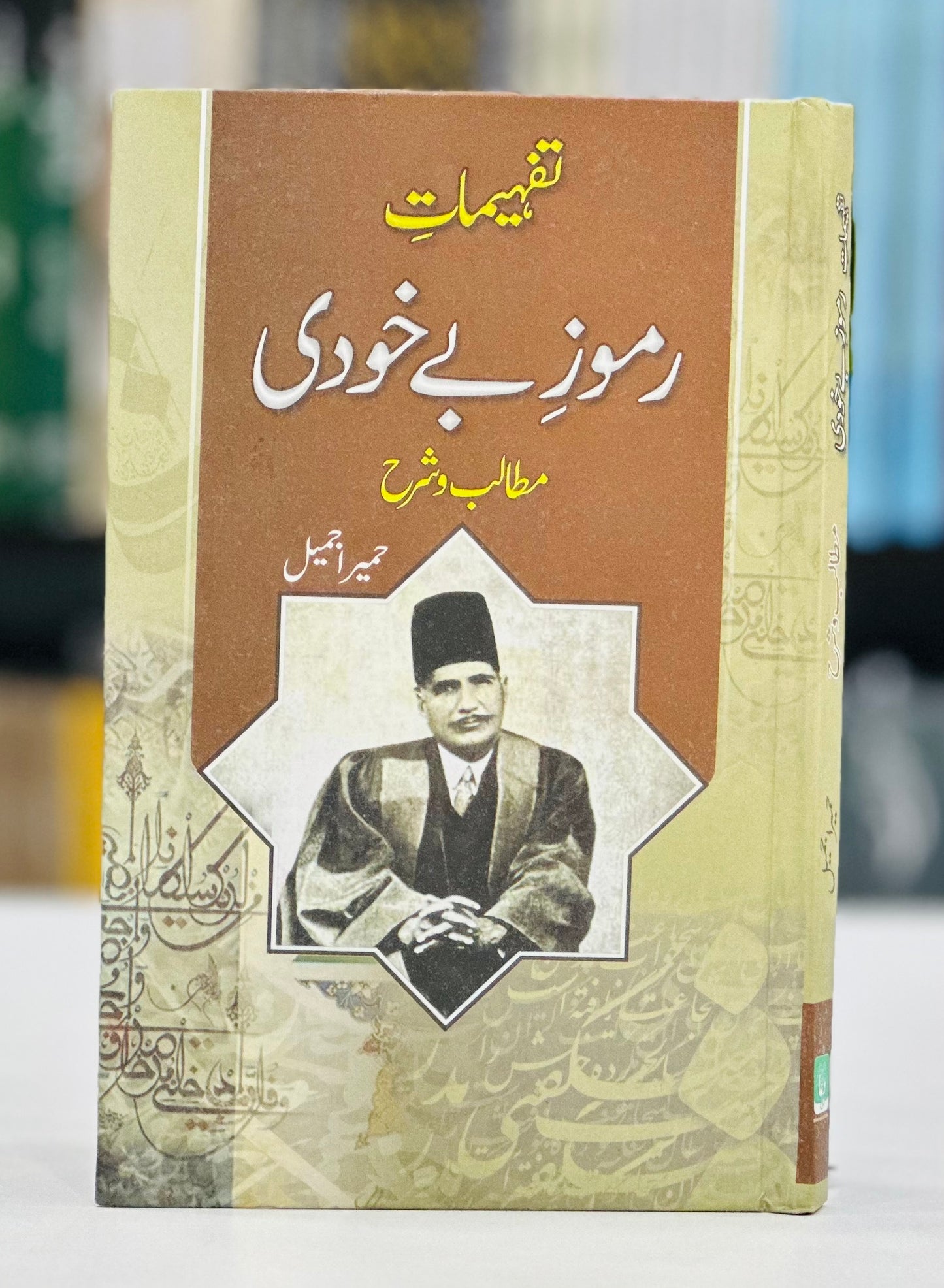 Tafhemaat e Ramooz e Bay Khudi : Matablib wa Sharah - تفہیمات اسرار خودی