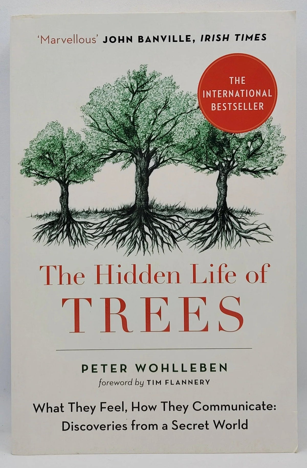 The Hidden Life Of Trees