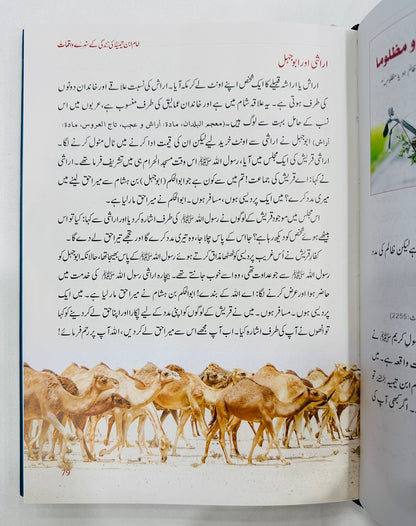 Imam Ibn e Temia Ki Zindagi Kay Sunehry Waqeat - امام ابن تیمیہ کی زندگی کے سنہرے واقعات