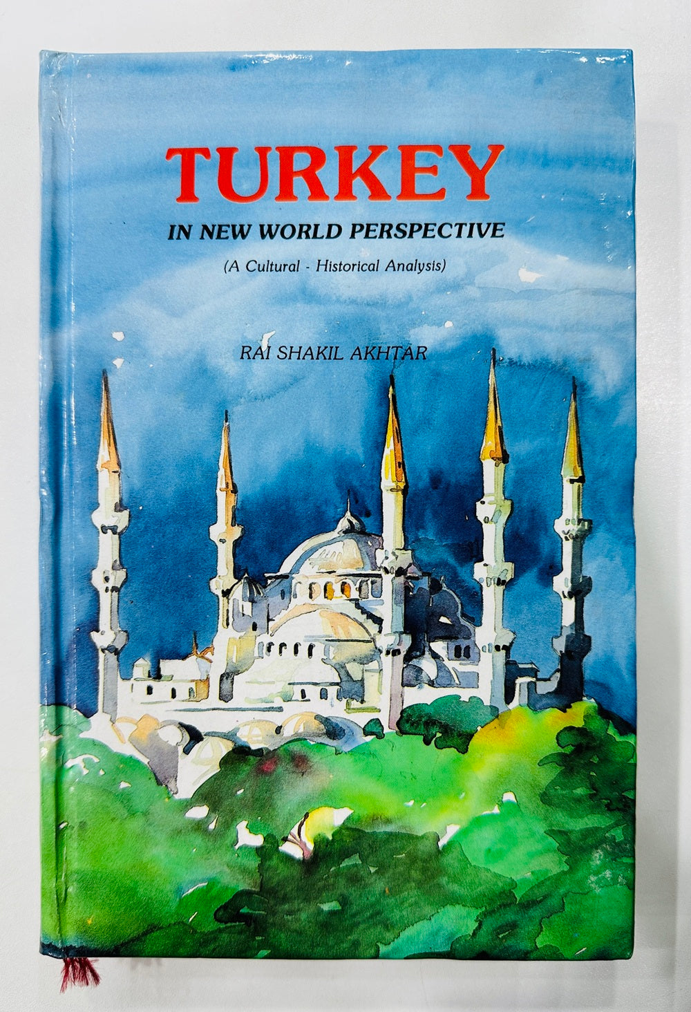 Turkey In New World Perspective