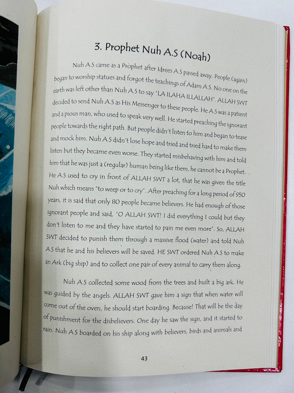 Allah SWT's Most Wonderful Creations