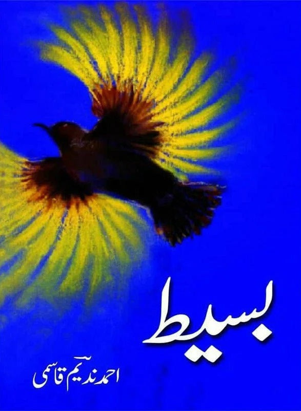 Baseer Basit Baseet - بسیت – Books Paradise