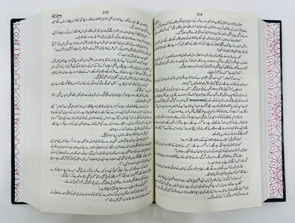 Bismal By Mehrulnisa Shahmeer - بسمل