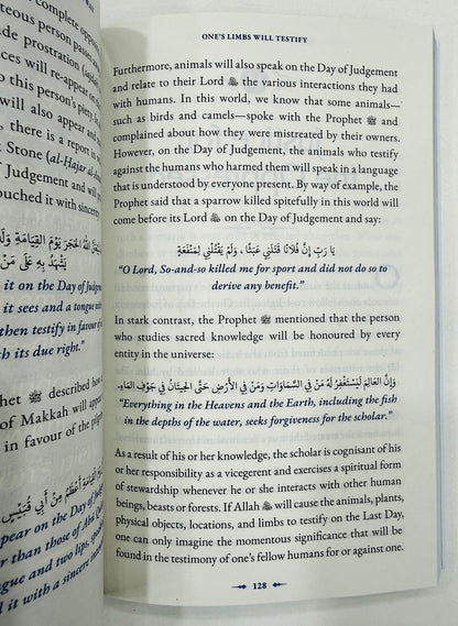 Judgement Day : Deeds That Light The Way