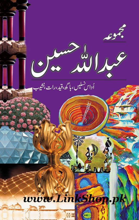 Majmua Abdullah Hussain - مجموعہ عبد اللہ حسین
