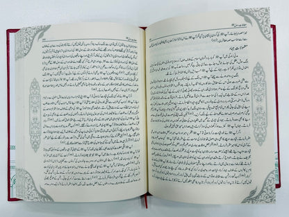 Mamlat e Rasool (PBUH) (Premium Edition) - معاملات رسولﷺ