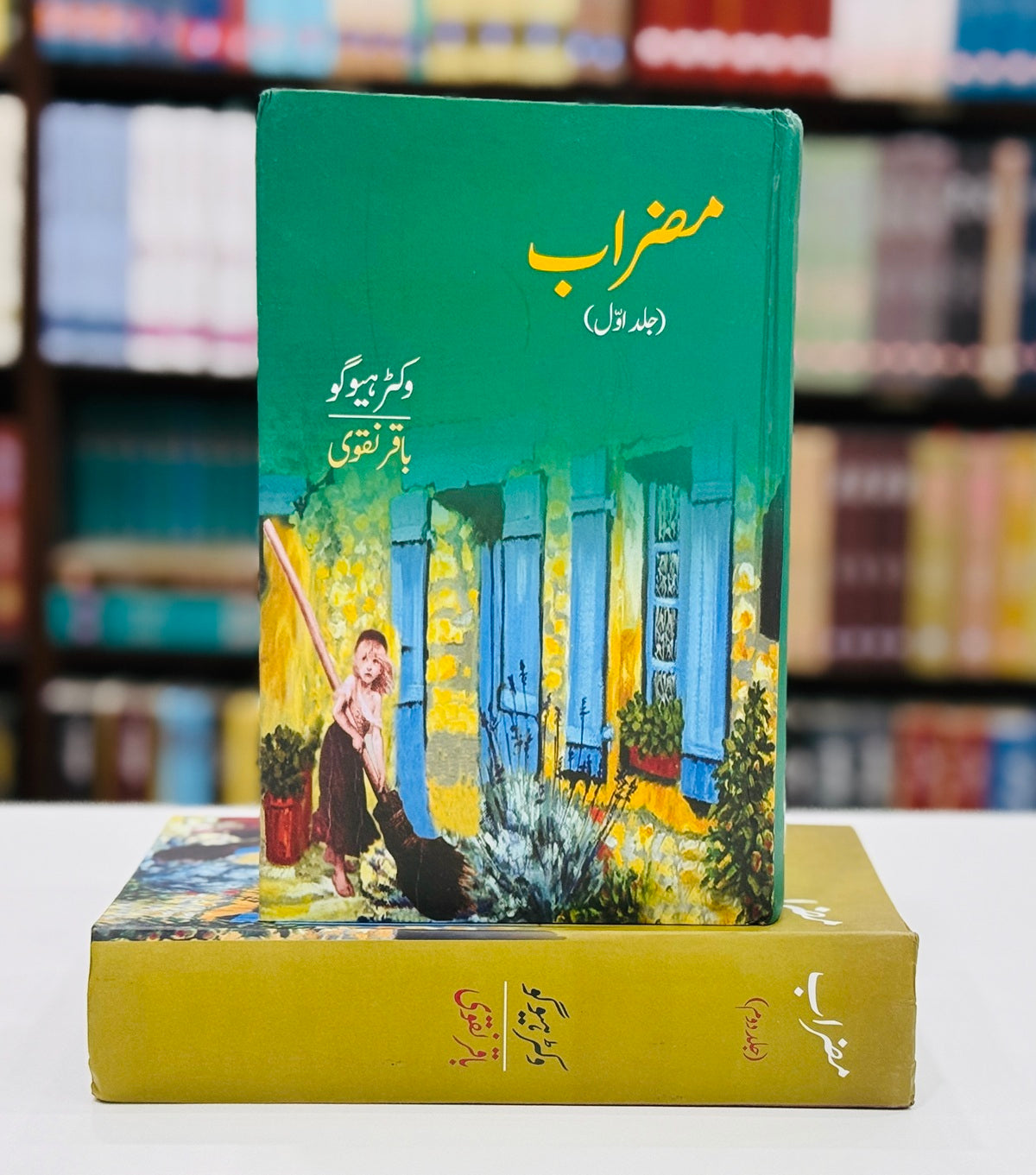 Mizrab (Complete Set) - مضراب