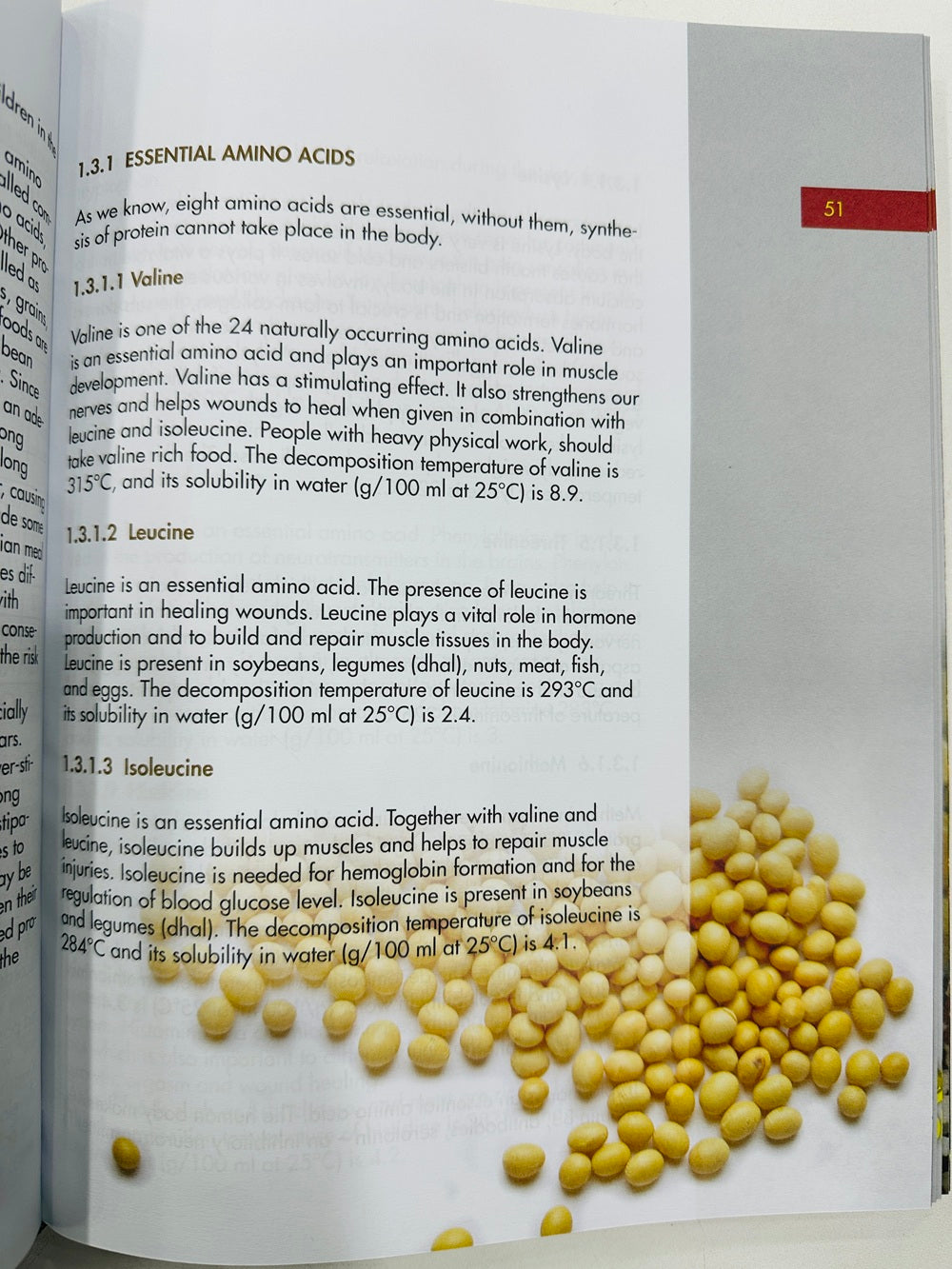 Nutrition And Health For South Asians