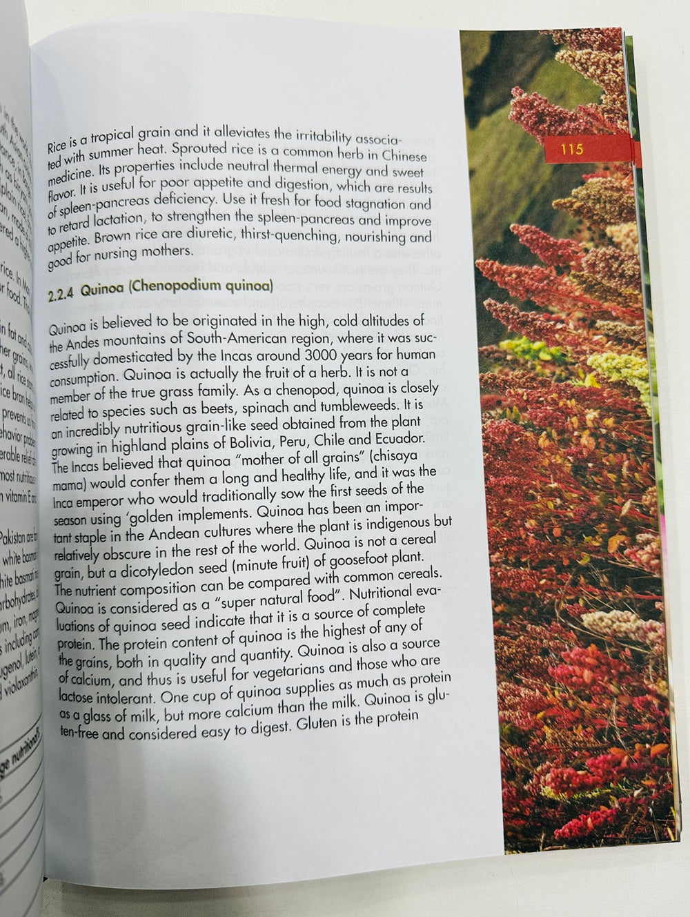 Nutrition And Health For South Asians