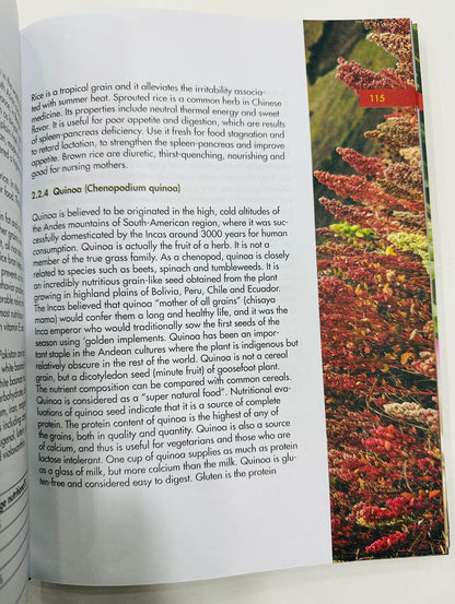 Nutrition And Health For South Asians