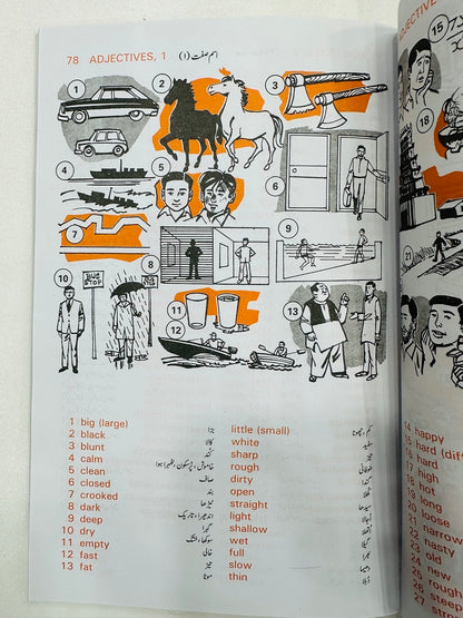 Oxford Picture Dictionary English Urdu