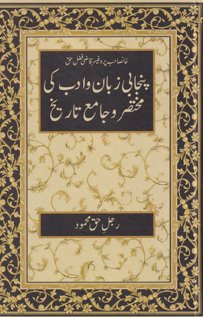 Punjabi Zuban o Adab Ki Mukhtasar O Jamia Tareekh