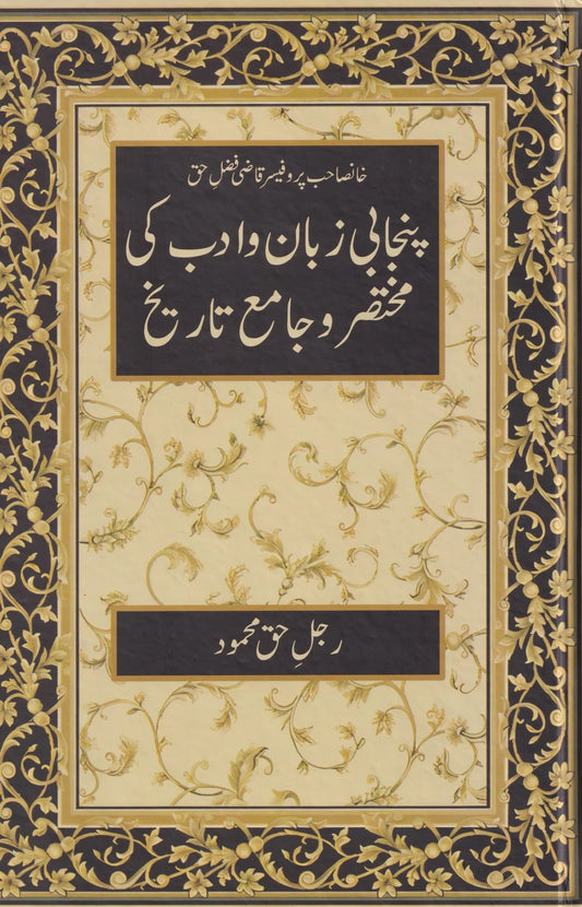 Punjabi Zuban o Adab Ki Mukhtasar O Jamia Tareekh