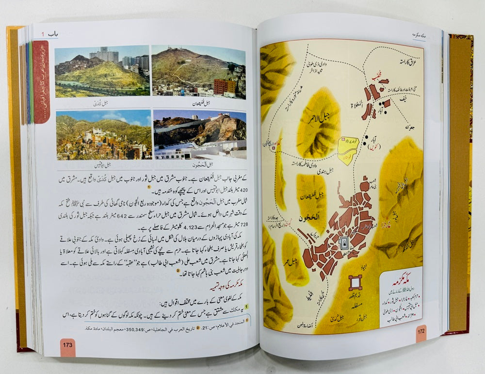 Seerat Encyclopedia (Complete 11 Parts)