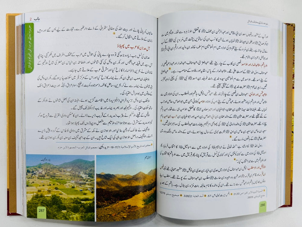 Seerat Encyclopedia (Complete 11 Parts)