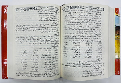 Tareekh O Fazail E Madina Tul Nabi (SAW) - مدینۃالرسولﷺ تاریخ و فضائل مدینۃ النبیﷺ