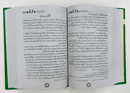 Tareekh Umat e Muslama (Part 4) - تاریخ امت مسلمہ - جلد چہارم